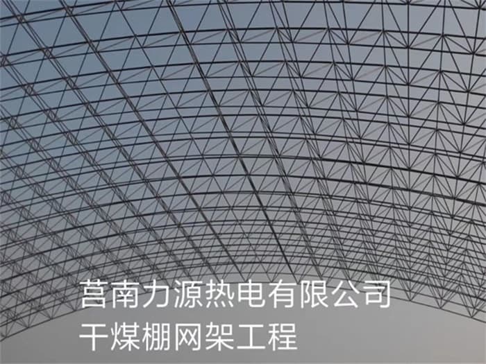 岳阳力源热电有限公司干煤棚网架工程
